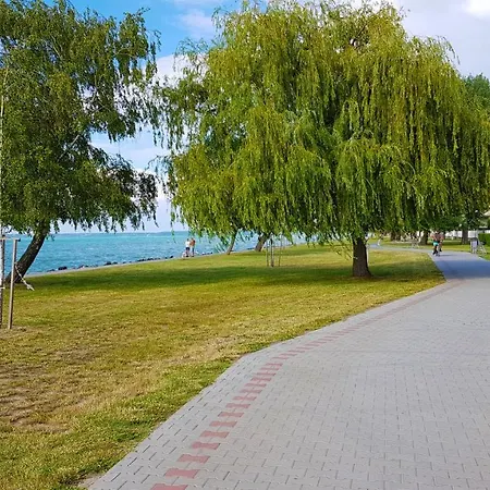 Napsugar شيوفوك